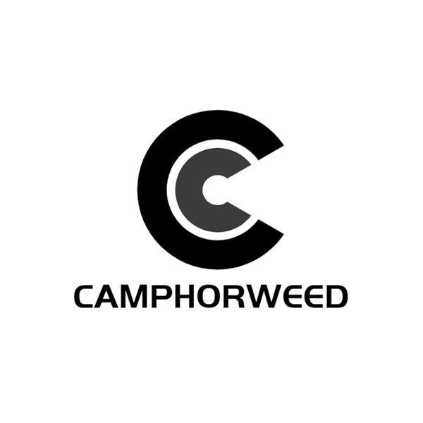 Camphorweed